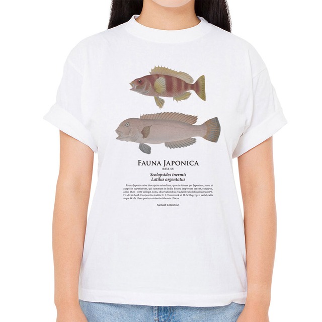 【タマガシラ・シロアマダイ】シーボルトコレクション魚譜Tシャツ（高解像・昇華プリント）