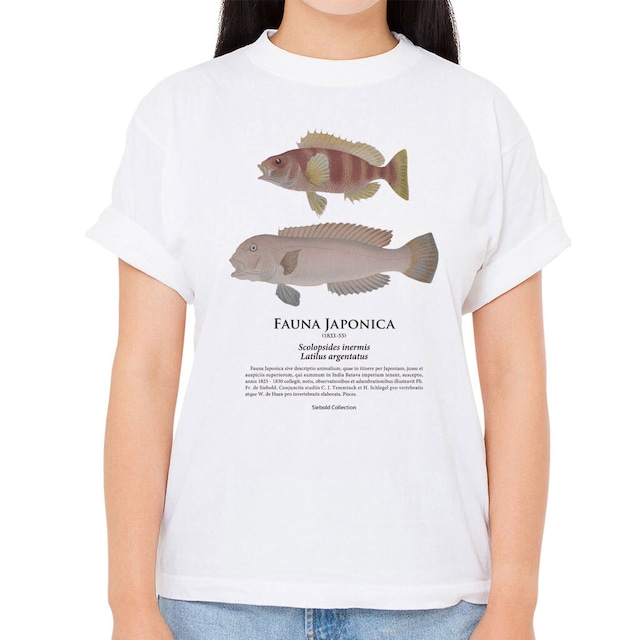 【タマガシラ・シロアマダイ】シーボルトコレクション魚譜Tシャツ（高解像・昇華プリント）