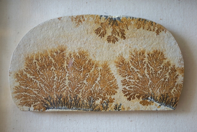 デンドライト 額装 Dendritic limestone 1044