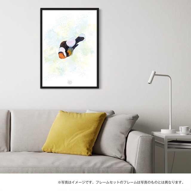 【海のいきものアートポスター／魚】トウアカクマノミ