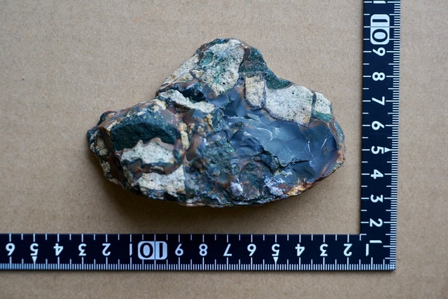 ブルーマウンテンジャスパー Jasper  ⑤