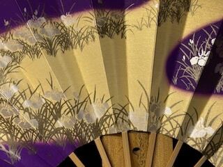 舞扇子 とりの子地 紫色 あやめ柄 白竹【2509-111】 | 順扇堂オンライン