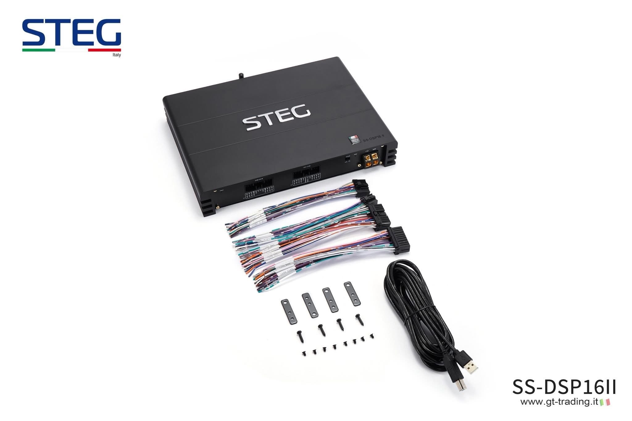 受注販売品】【国内正規品】STEG 「SS-DSP16ii」ハイエンド16chアンプ