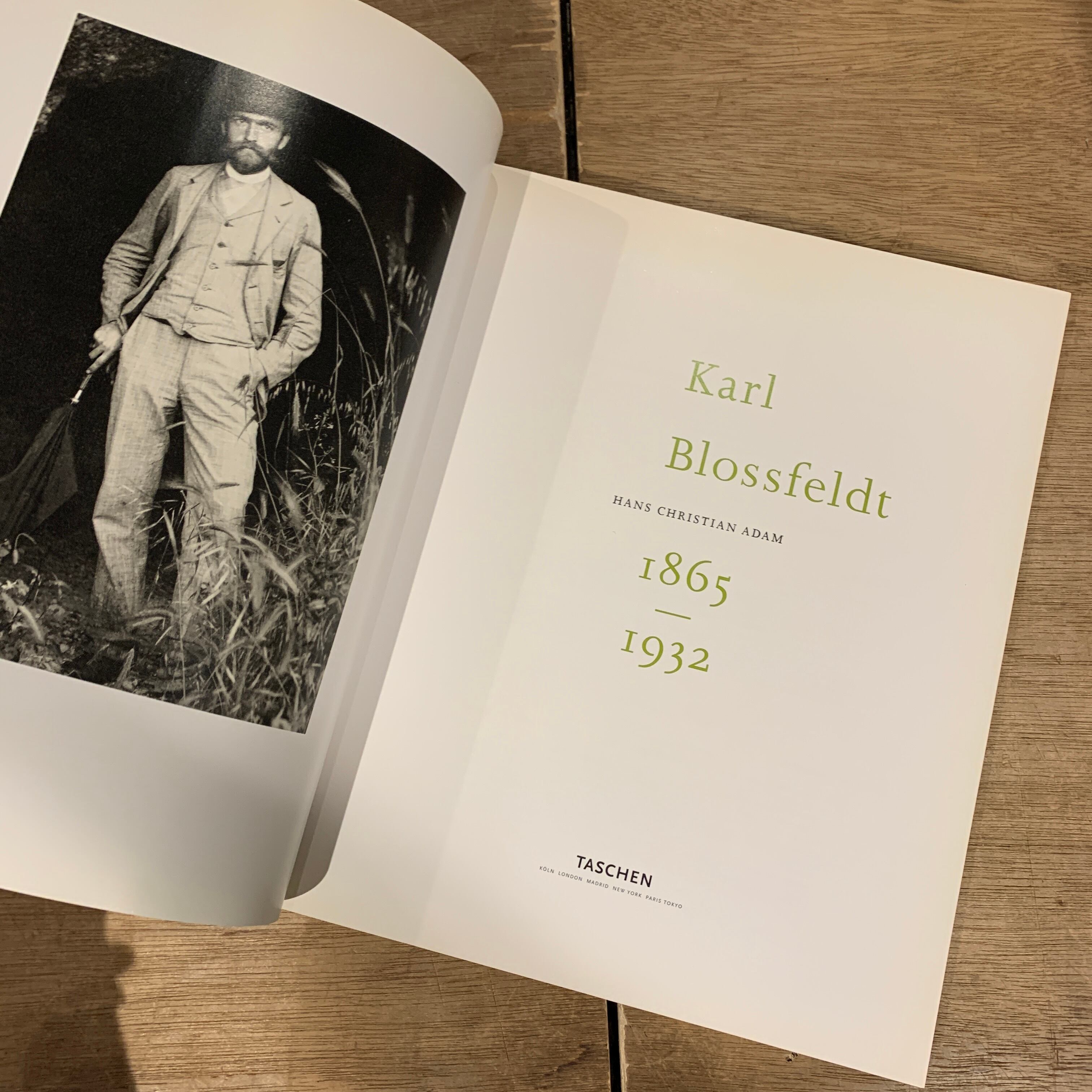 Karl Blossfeldt 1865-1932 Hans Christian Adam カール・ブロス