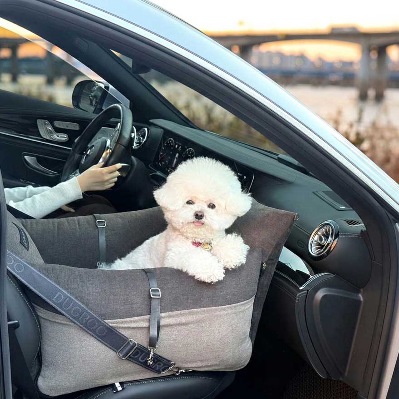 New Age M Size Car Seat【Espresso】 / Dugroo / 日本未入荷