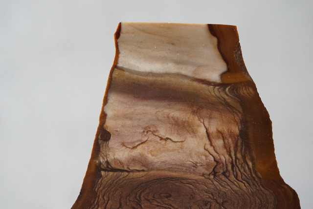 ビッグス・ジャスパー Biggs Jasper 748