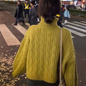 ケーブル編みざっくりタートルニット　AJ11009-2631