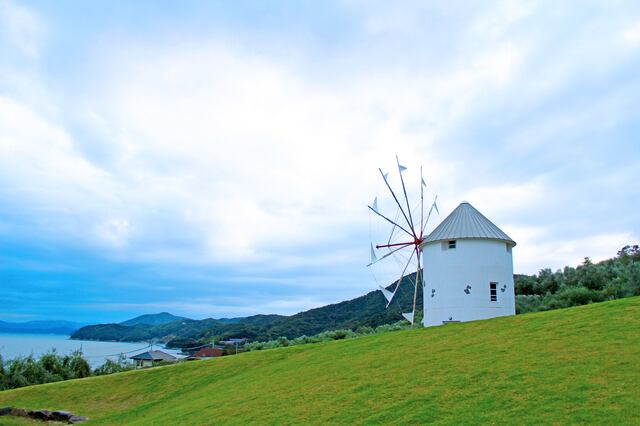 しょうどしま長命草粉末<(株)高橋商店>