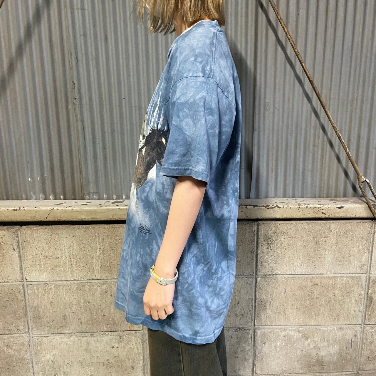 90年代 THE MOUNTAIN タイダイ染め 馬 アニマルプリントTシャツ メンズ 