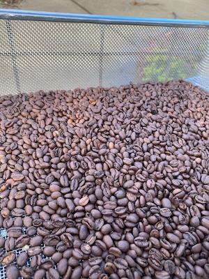 ＜卸＞カフェなど店舗さま向け　イルガチョフ（エチオピア）500g（豆）