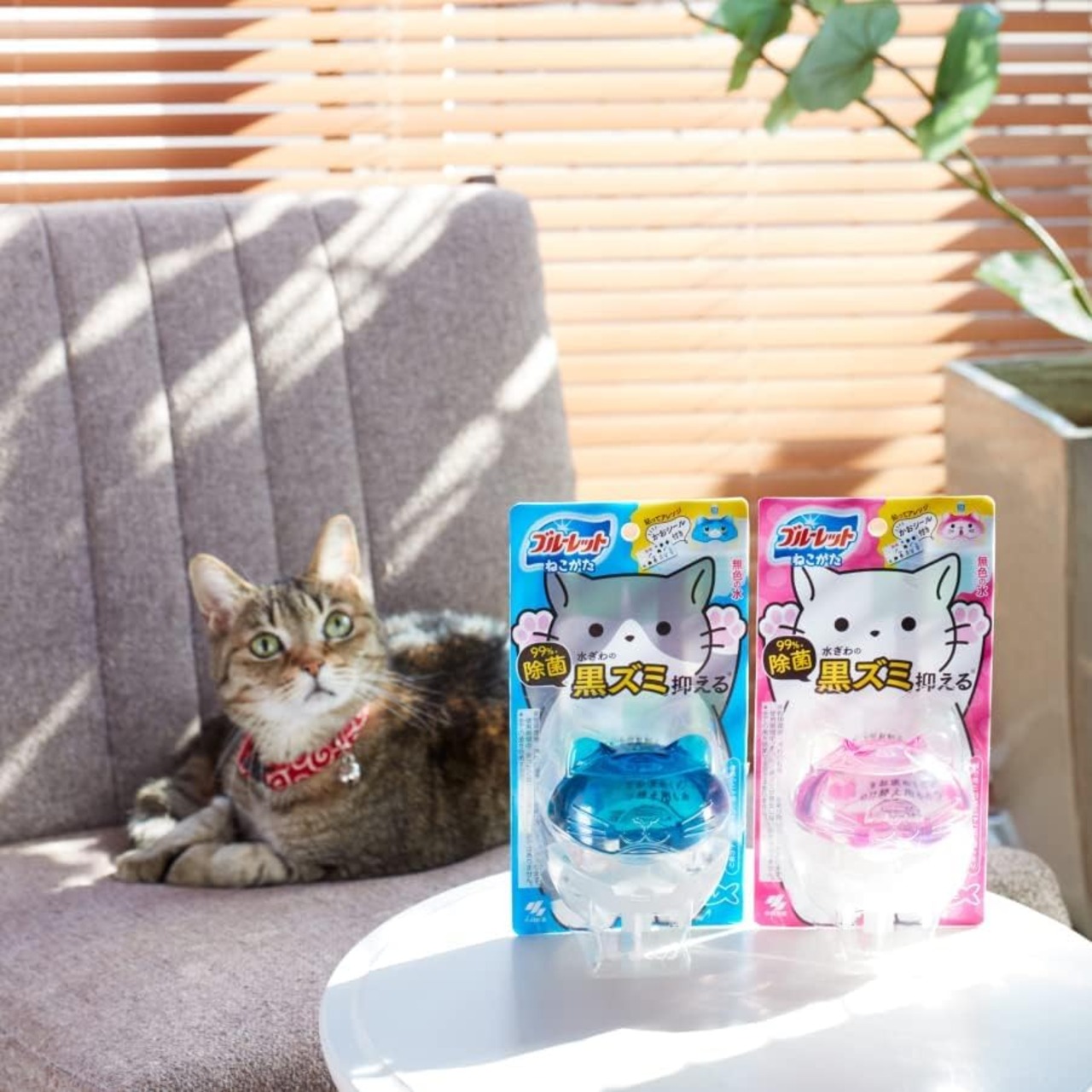 液体ブルーレット 液体 ブルーレット おくだけ ねこがた 除菌 きれいニャ感じのするミントの香り 詰め替え用 70ml 猫型 トイレタンク芳香洗浄剤 小林製薬