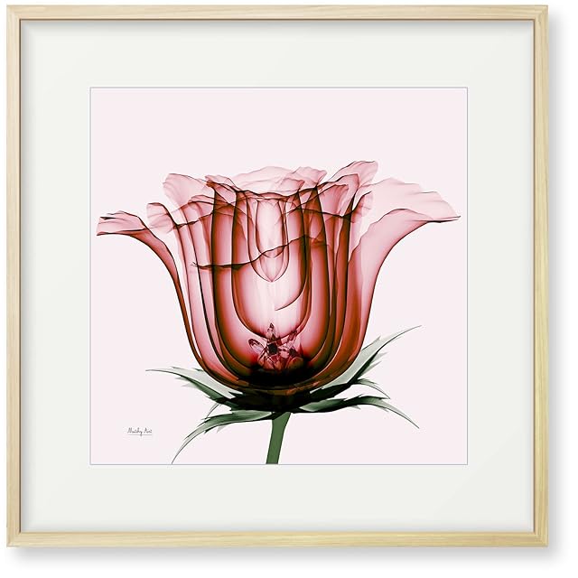 絵画 花の絵 インテリアアート額付き 水彩画・油絵調 WAT0400 | PAY ID