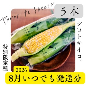 【数量限定／5本箱】ヤツガタケナマトウモロコシ特別限定種「キイロトシロ」
