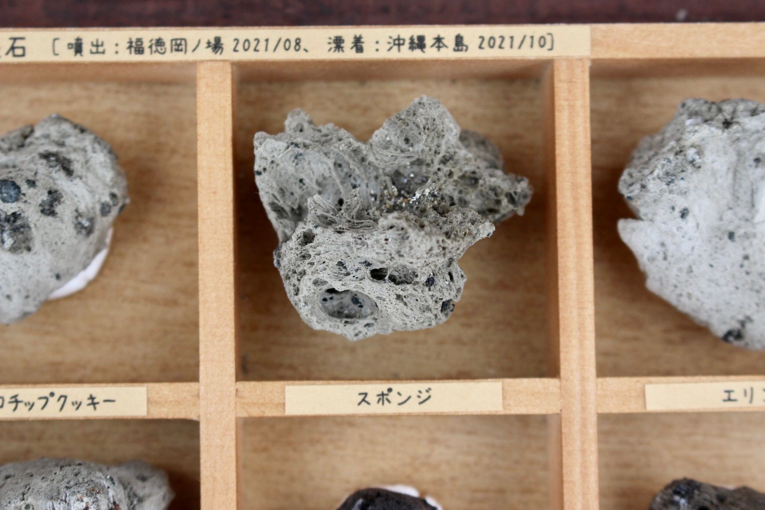 かわいい軽石コレクションBOX◇6種類◇福徳岡ノ場・2021噴火による