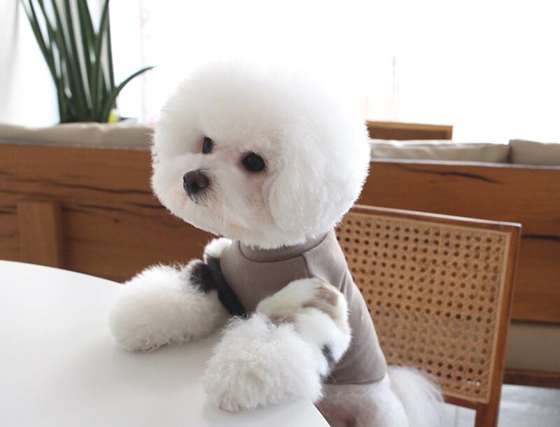 ミンクファー袖トレーナー S ~ XL 2color / 犬服 新作 ドッグウェア 小型犬 中型犬 犬 服 ジャケット ペット用品 ペット洋服