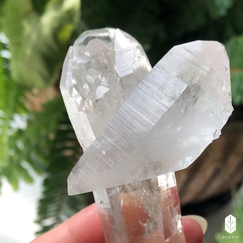 マニハール水晶 サボテンさん♪ | BIZEN Crystals