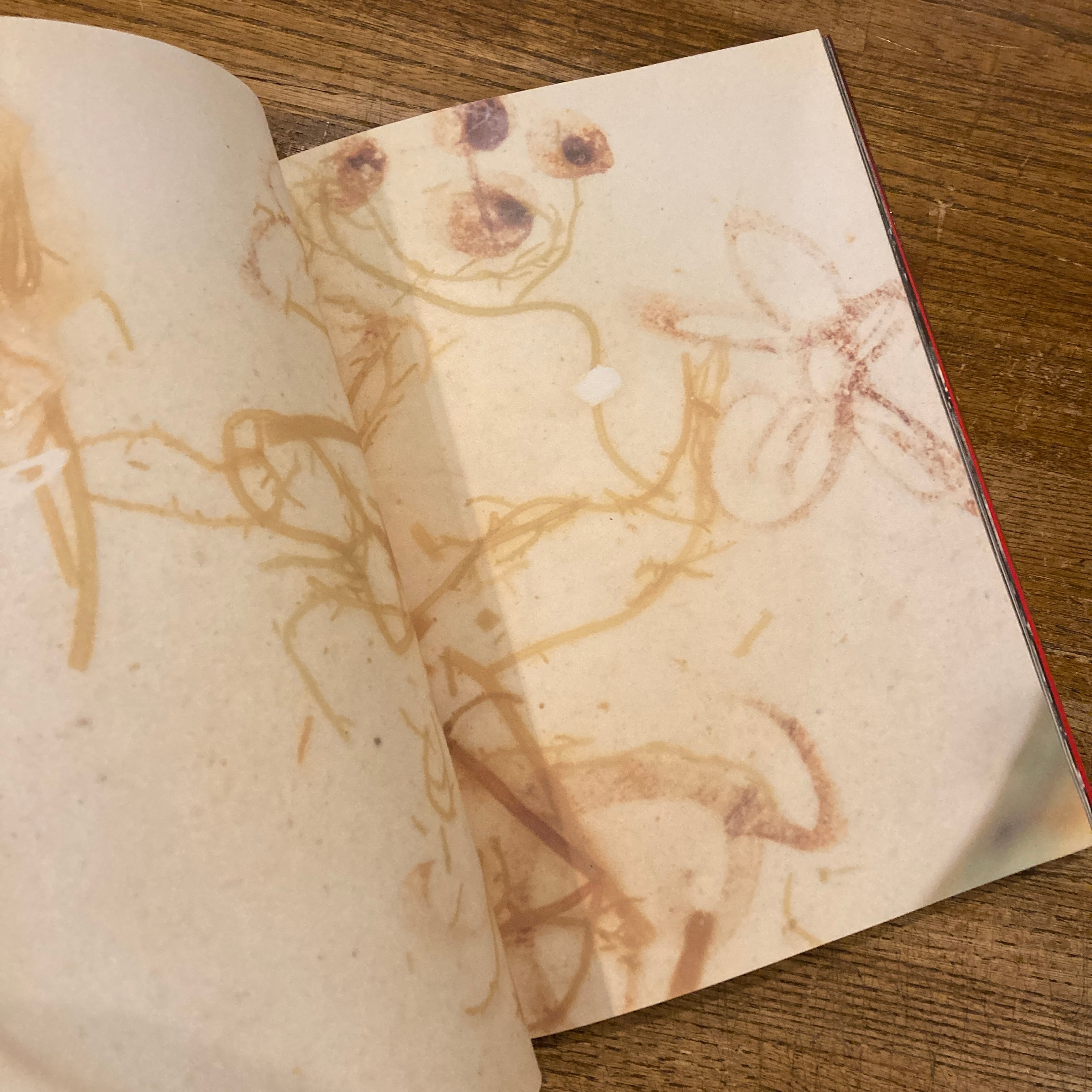 フェティシズム全書