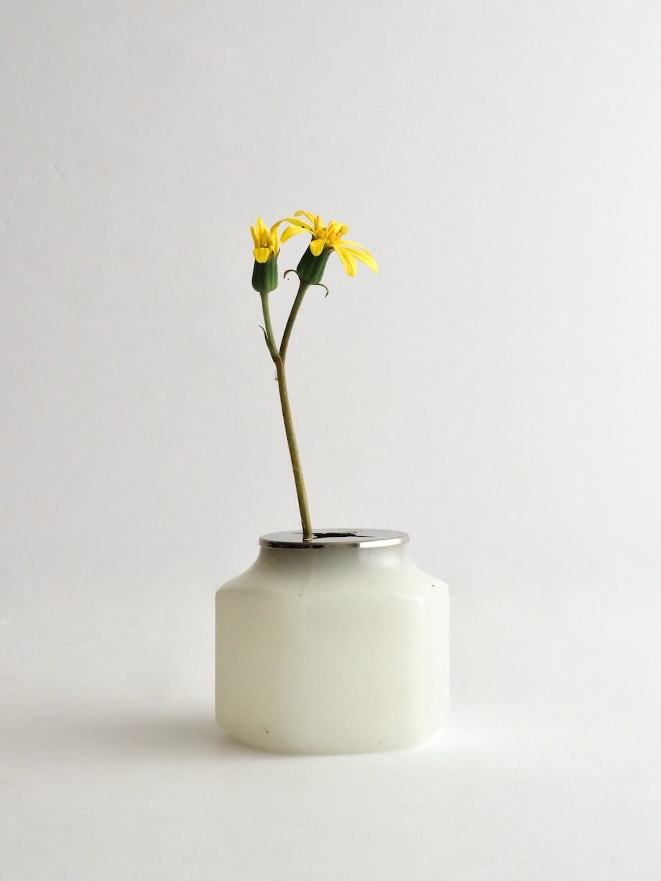 ヴィンテージ ミルクガラス キャニスター｜Vintage Milk Glass Dental