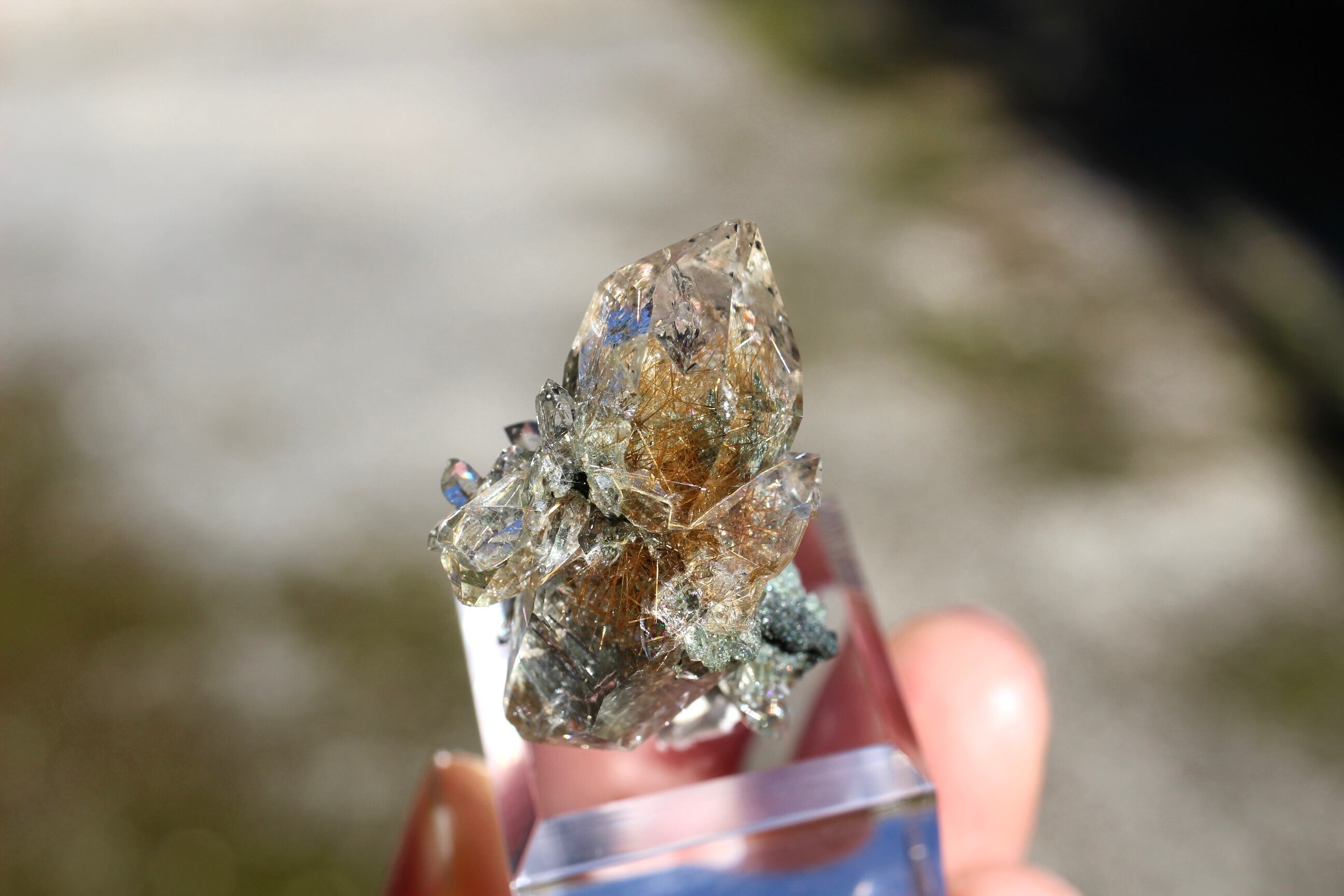 マニハール産 ヒマラヤ水晶 ルチル DT 虹入り | 石垣島の夜光貝