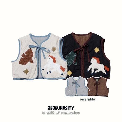 JEJEUNOSITY［取寄］iriya vest (リバーシブル）26autumn