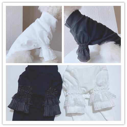 《予約》№1102534 シンプルシャツ