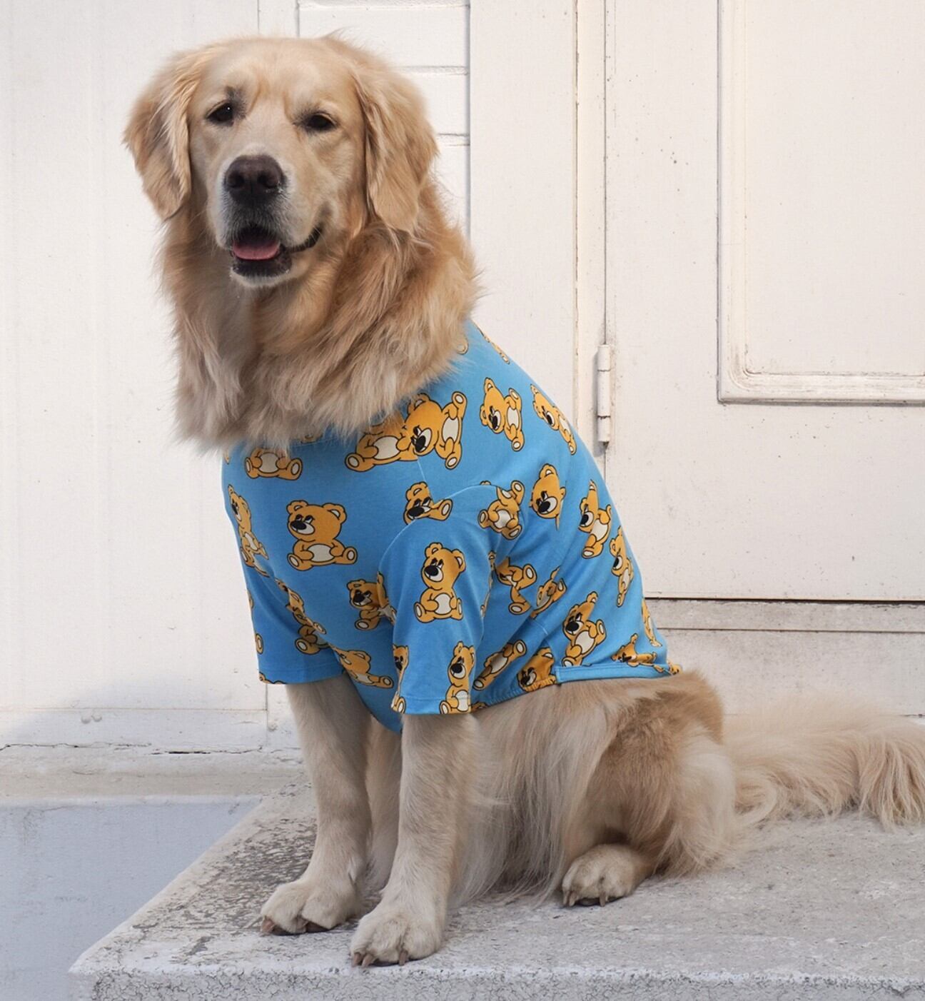 4~6XL/予約【andblank】Joy Bear Short Sleeve《Blue》