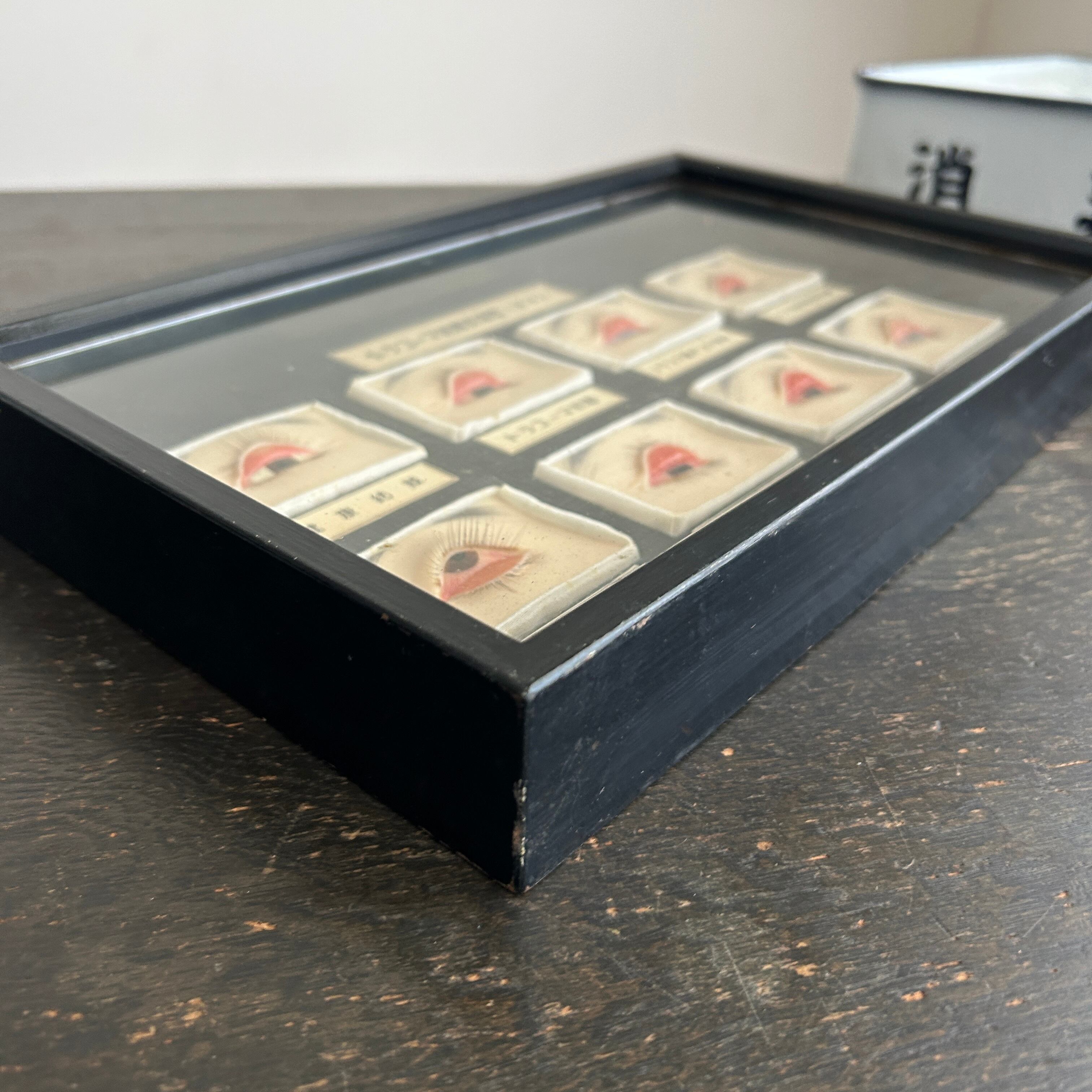 1950年代　眼科用結膜炎模型　