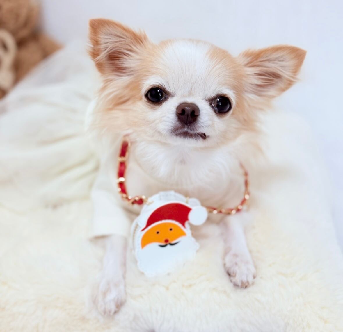 サンタさん斜め掛けバック