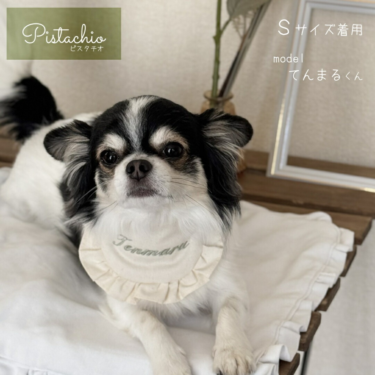 ペット用 ナチュラル スタイ 名入れ 名入れ無料 犬 猫 うさぎ よだれかけ 汚れ防止 ビブ 前掛け ドッグウェア インスタ映え 食事 散歩 アクセサリー おしゃれ おめかし バースデー 誕生日 おでかけ お祝い プレゼント ギフト 可愛い