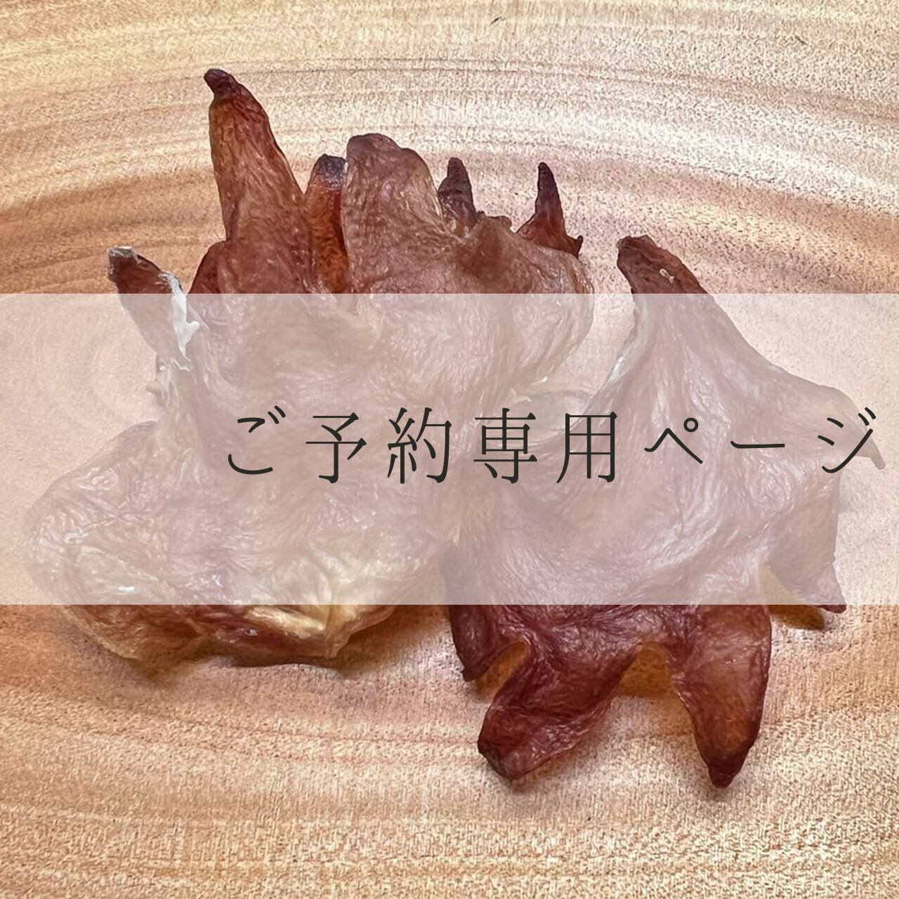 【ご予約/KA20260819】ご予約専用