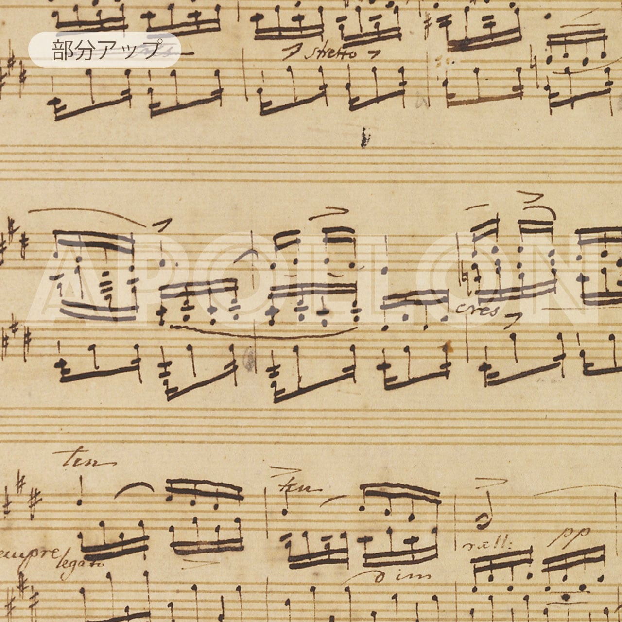 ショパン：「別れの曲」 エチュード Op. 10, No. 3／Chopin：Étude in