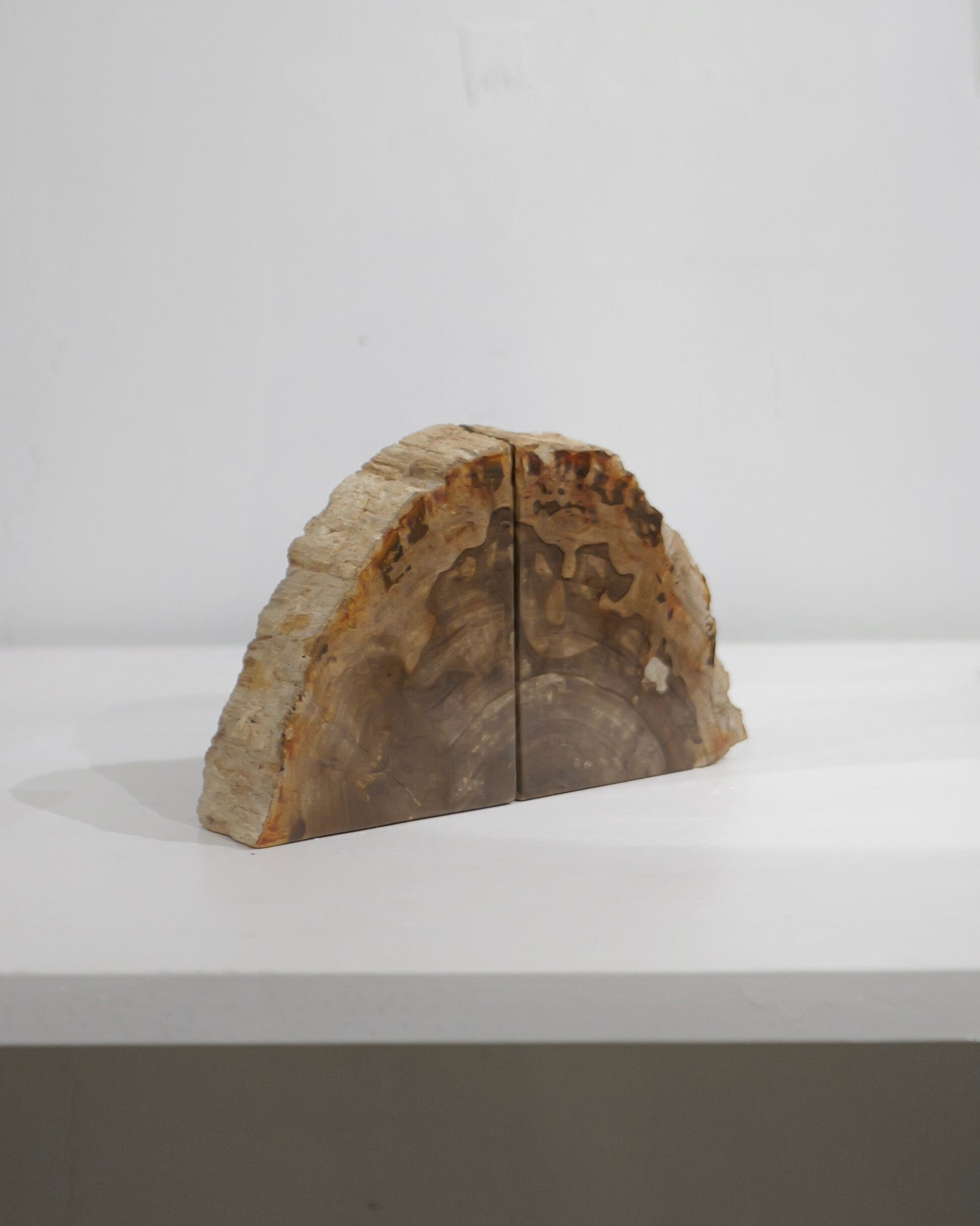 OAK Petrified Wood - Book End #001 ：Natural｜珪化木／一点もの