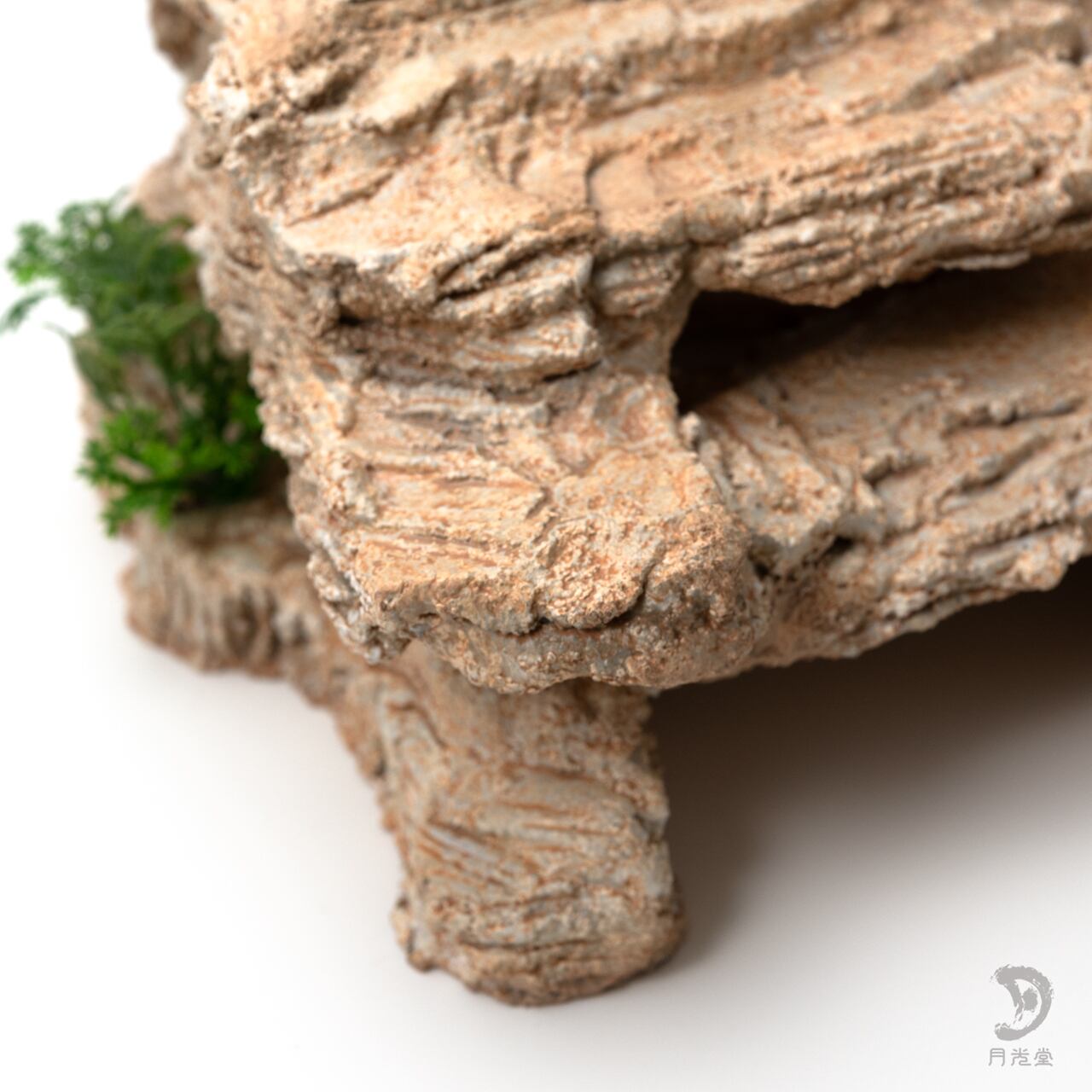 爬虫類バックボード とよ@DT on X: 