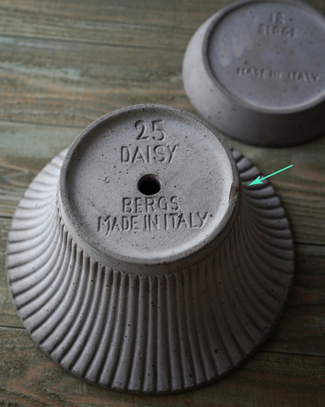 【Bergs Potter】デイジー Ø25cm　グレー　植木鉢【バーグスポッター】