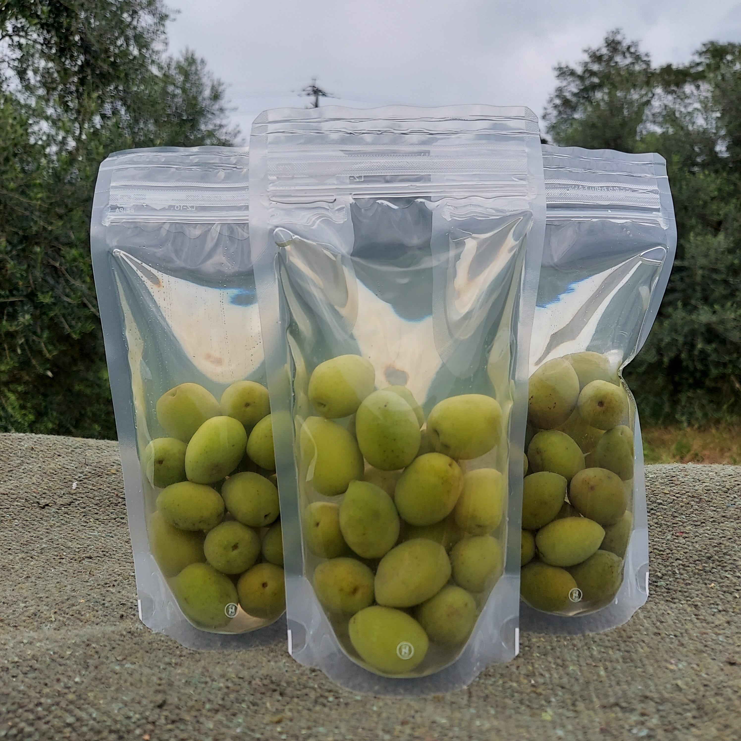 オリーブ新漬け | やまねこオリーブ