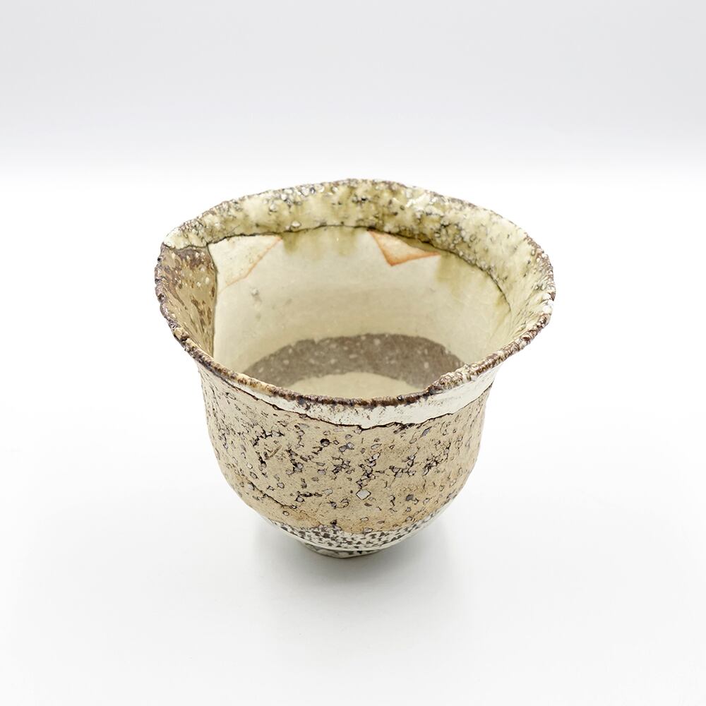 Yuta Uchida 内田裕太 鉢植 プランター 塊根植物 Yuta Uchida 内田裕太 鉢植 プランター 塊根植物 Yuta Uchida 内田裕太