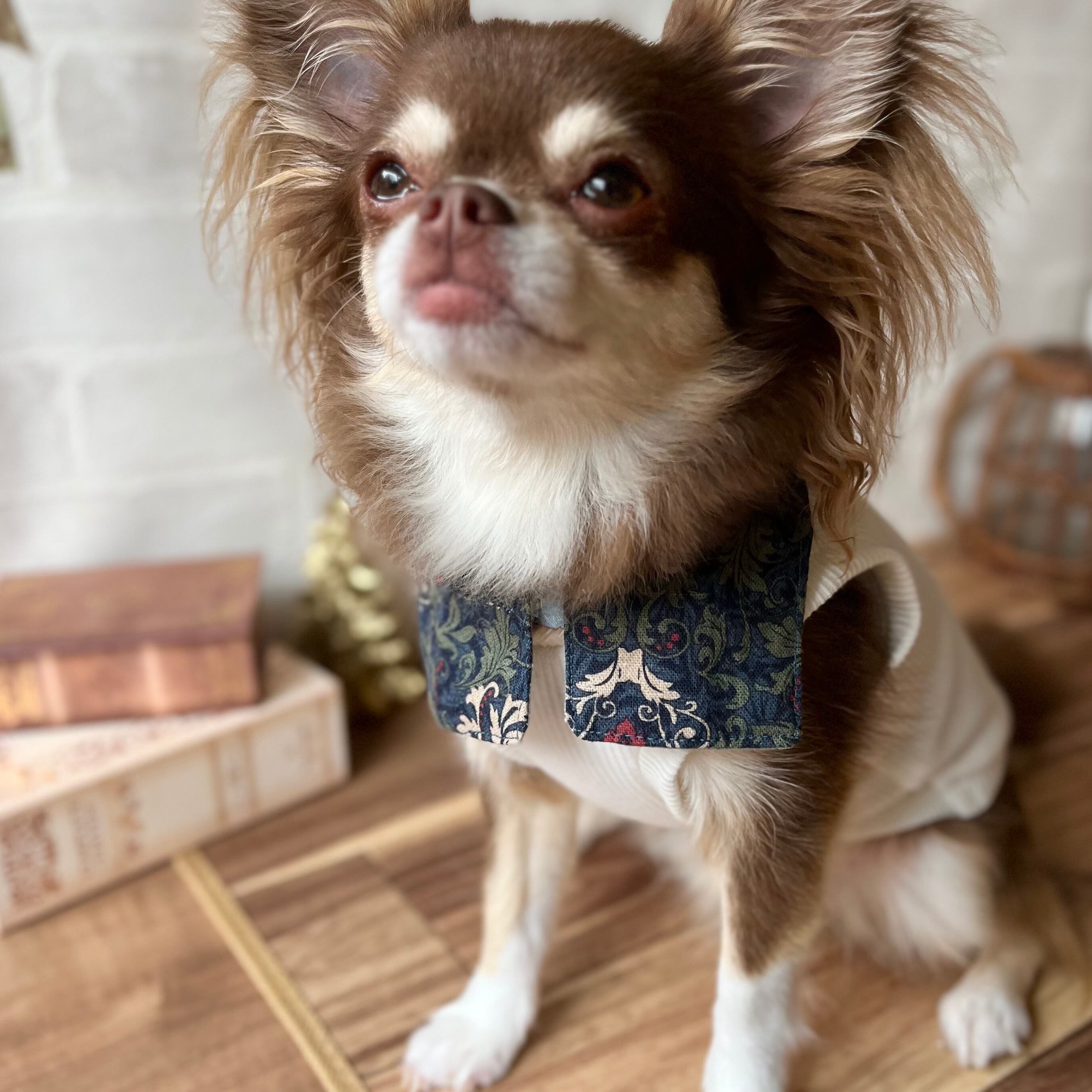 予約】お揃いつけ襟(犬用) | Pay ID