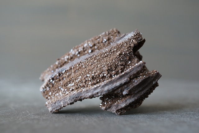 ドイツ産珪化木/クォーツ　Petrified Wood / Quartz　898