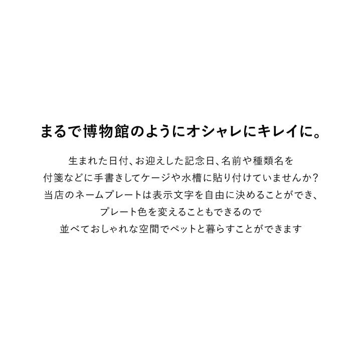 6636b2db3debbbc67e17a8e50a1585