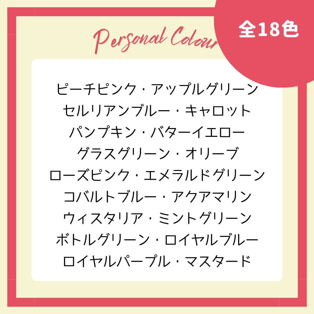 パーソナルカラー診断セット 似合う色を探そう！パーソナルカラー簡易診断キッド【教材