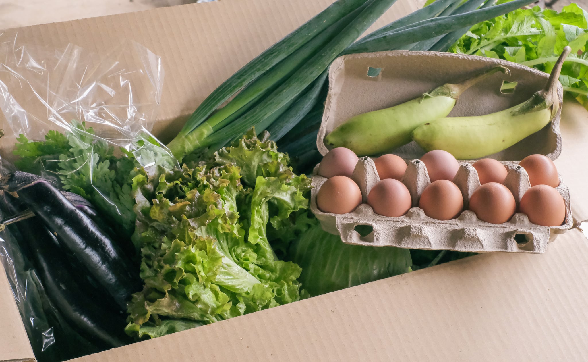 卵10ケ＋旬の野菜セットM（13種類程度） | 椛島農園