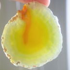 Polaris 03 - アゲートヒーリングチャイム / Agate Healing Chime 1219