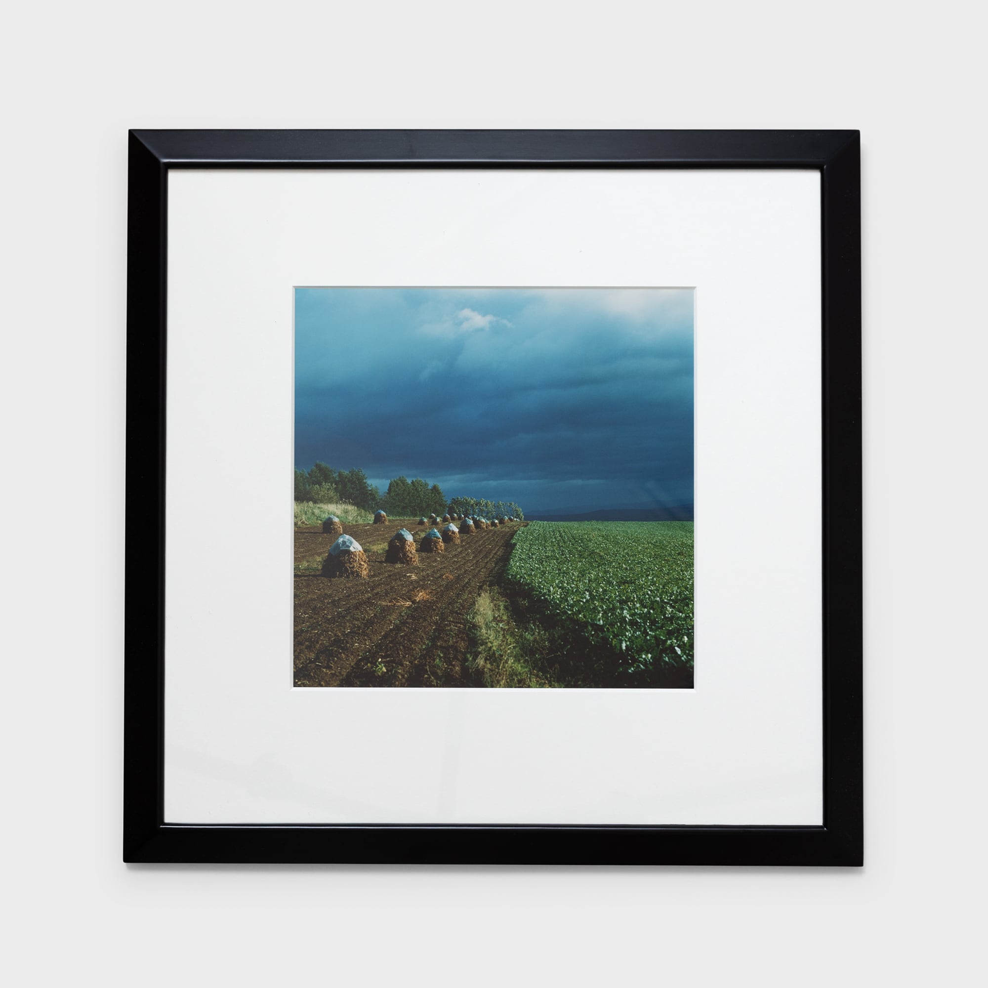 前田真三額装写真「秋の彩り」黒木額〈展示品〉 | 拓真館 TAKUSHINKAN