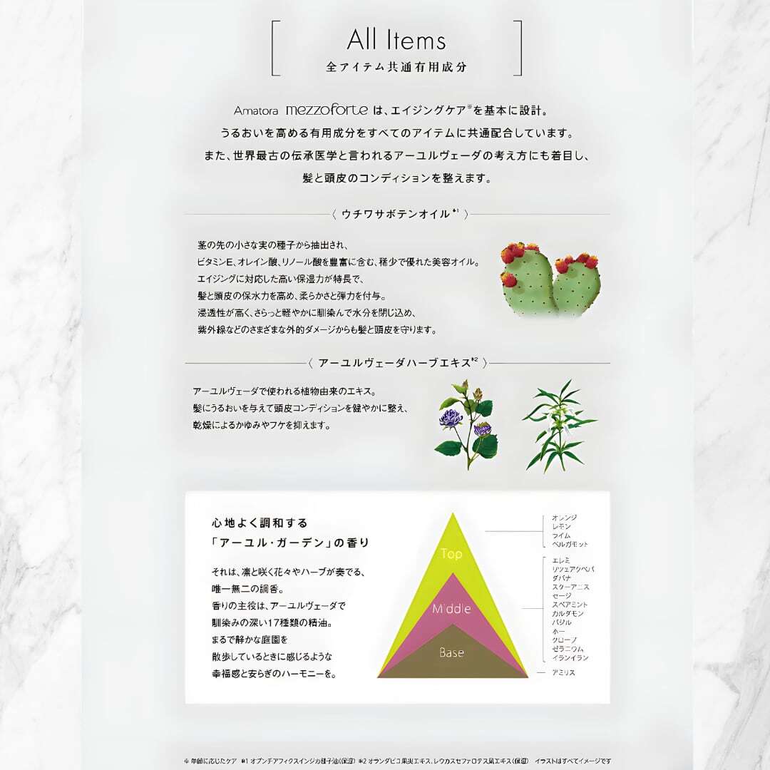 Amatora mezzoforte】アマトラ メゾフォルテ シルキーエマルジョン