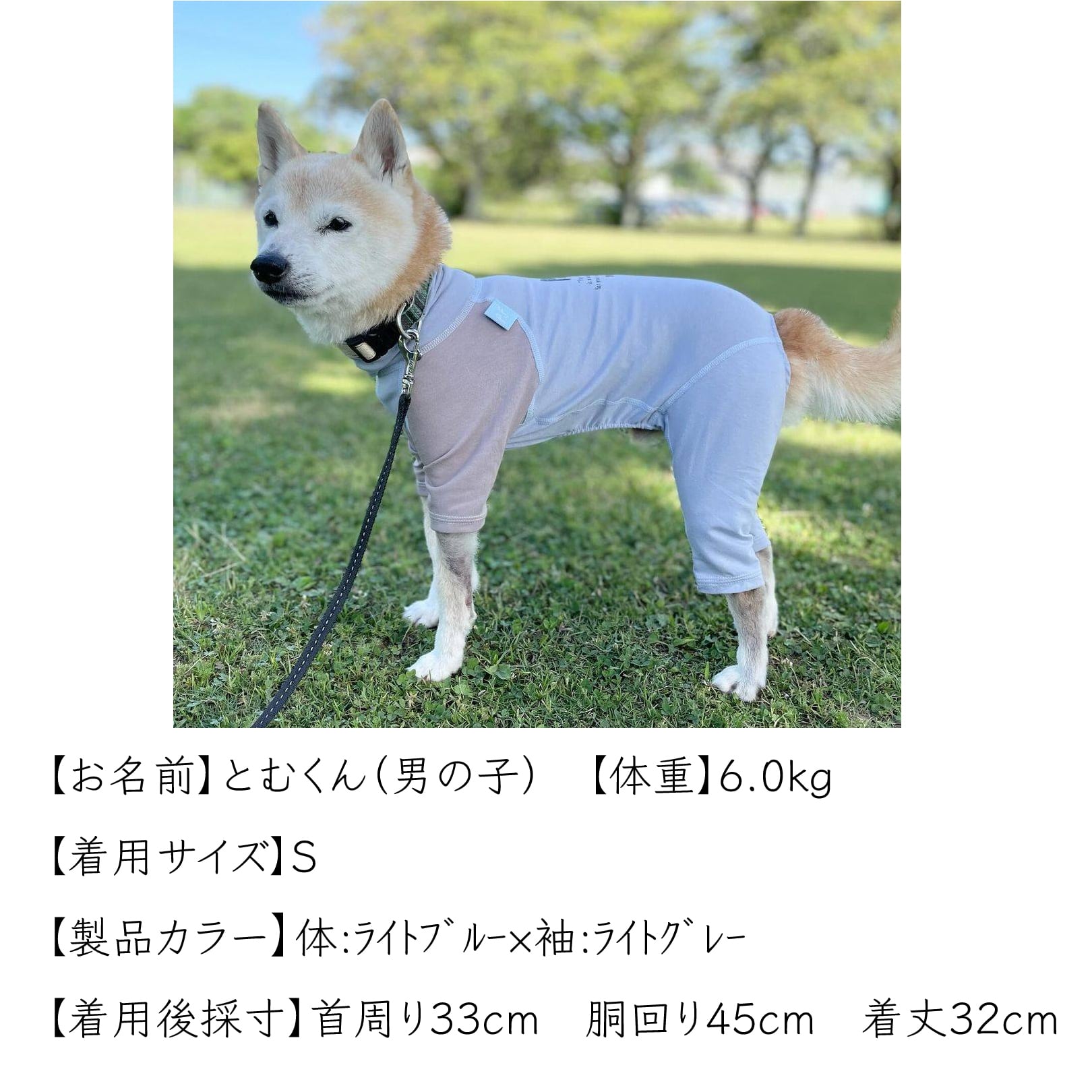 スキンフィット｜柴犬用｜オーガニックコットン＆抗菌消臭効果生地