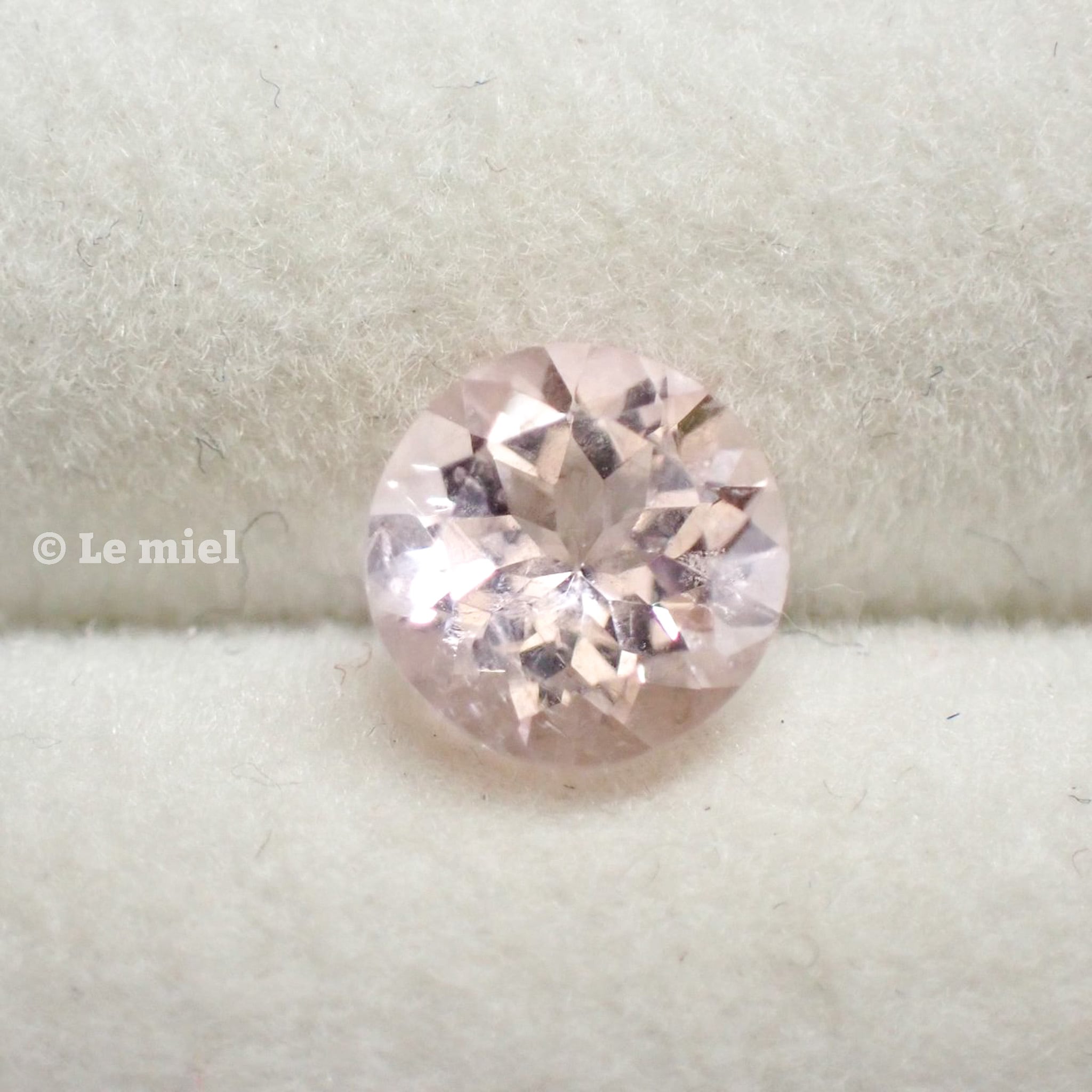 一点もの 】ドライフラワーモチーフのレジンヘアゴム 縦2.8cm × 幅4.5