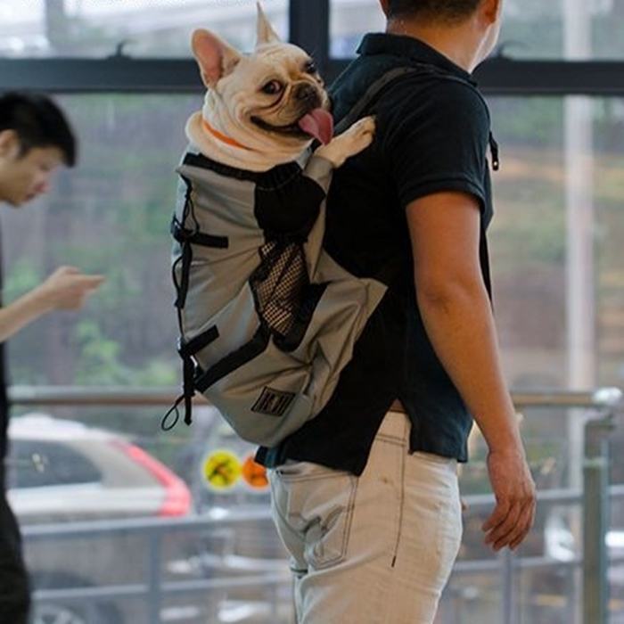 Km512g ペット専用 リュックサック 鞄 防災 避難 顔出し 可愛い 山登り もしもの時のリュックサック ペット不可の場所 Dearkm フレンチブルドック孔明