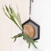 Iron flame HEXAGON