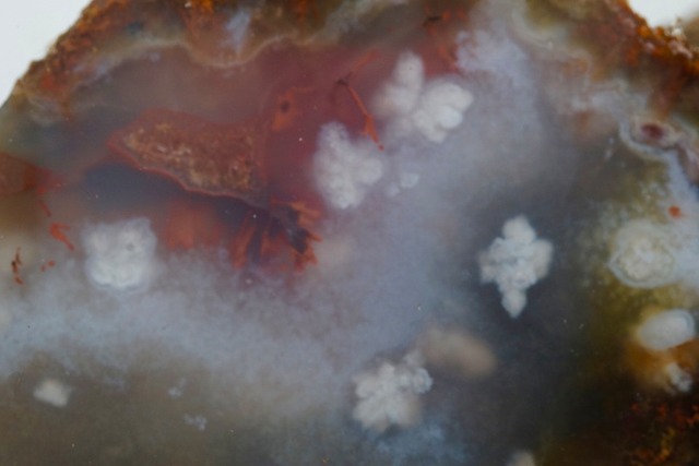 プルームアゲート　Agate  ①