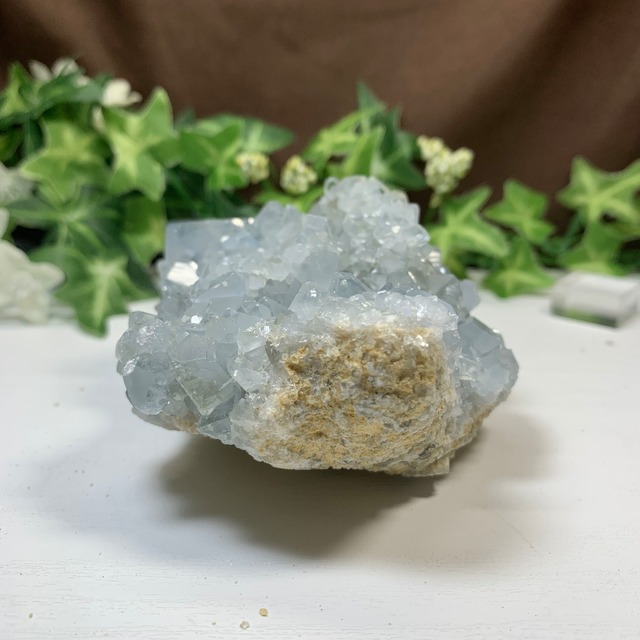 4.空色セレスタイトに住み着いているフローライトハリネズミさん